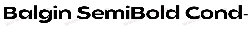 Balgin SemiBold Cond字体转换 Balgin SemiBold Cond字体转换